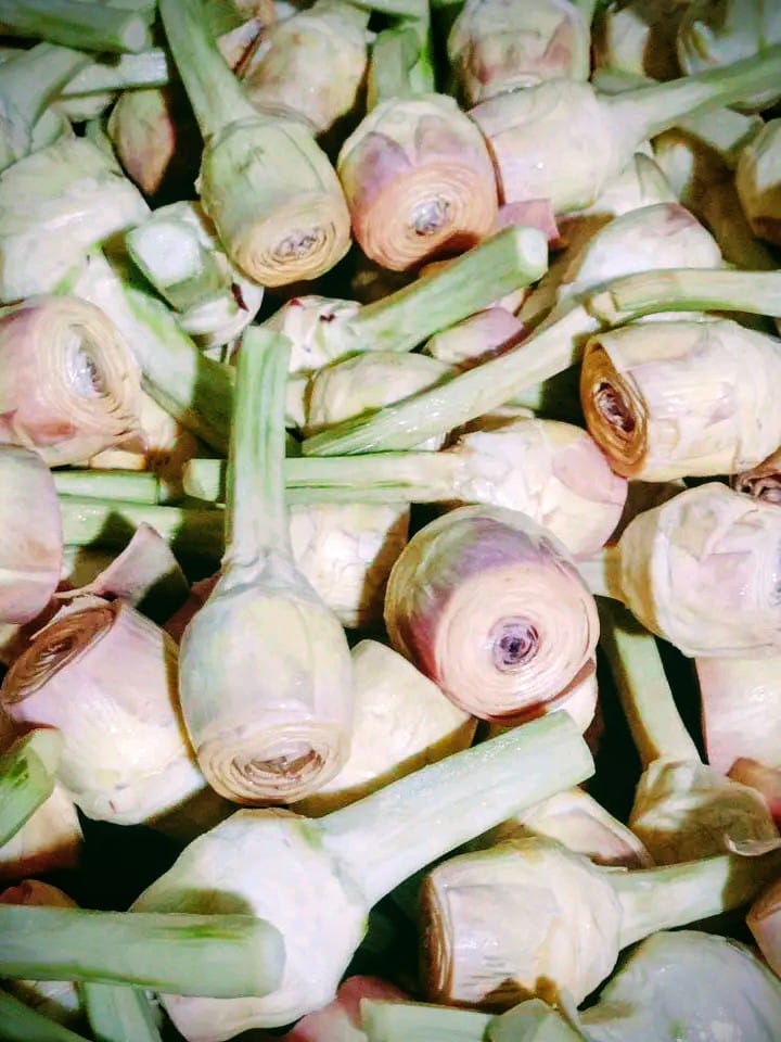 Artichoke Bottoms Artichoke Hearts Artichoke Quarters Artichoke Slices